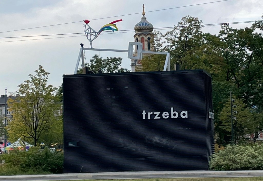art installation "trzeba dojrzeć, aby dojrzeć"