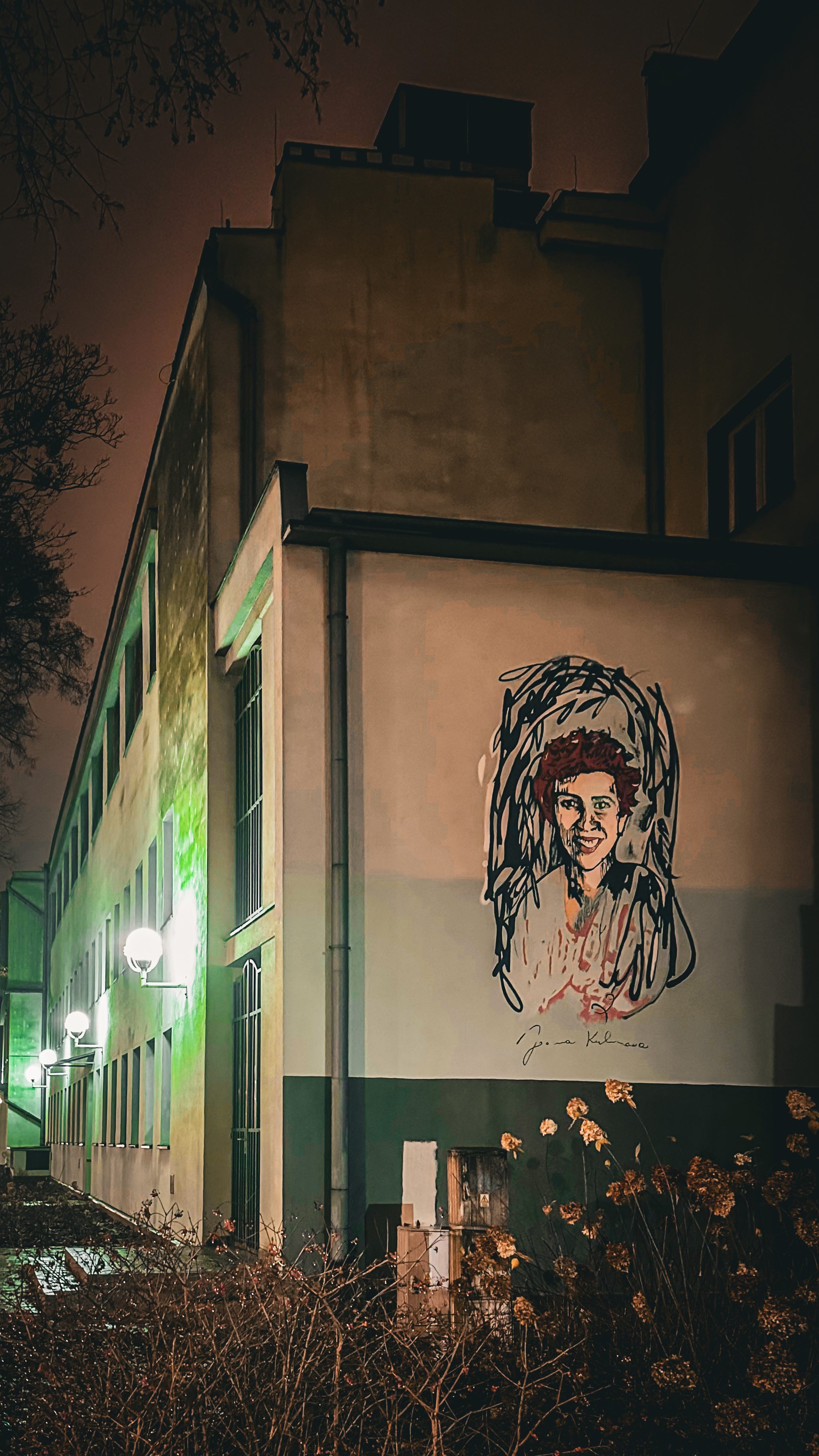 Mural twarze literatury joanna kultowa in lodz