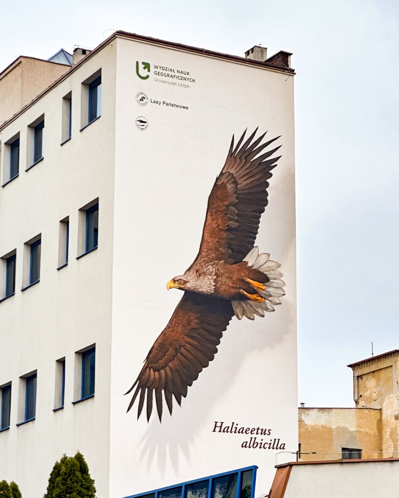 mural with bielik bird