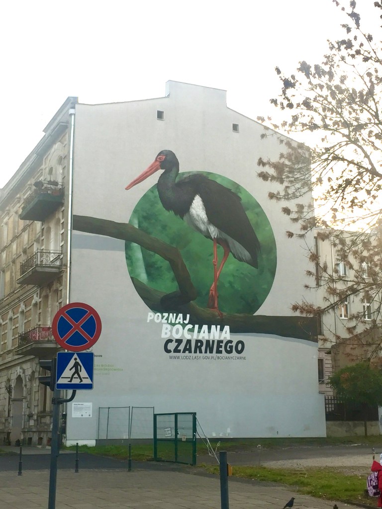 mural z czarnym bocianem w Lodzi