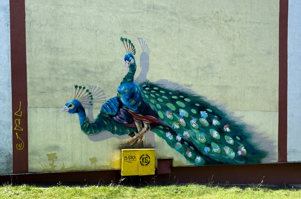 mural with two peacocks