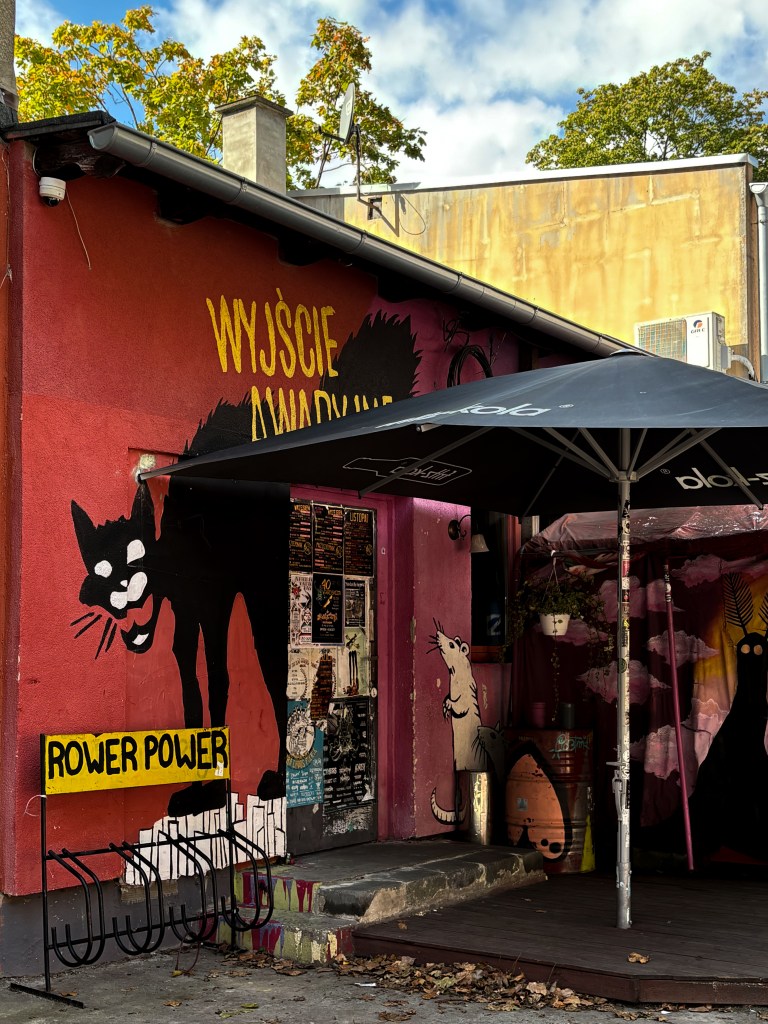 Colorful street art on the exterior of a building in Opole, showing a large black cat on a red wall with the words “Rower Power” and a white rat painted on the adjacent pink wall. The doorway is covered with posters and stickers, and a black umbrella shades the entrance, giving the place an underground, artistic vibe.