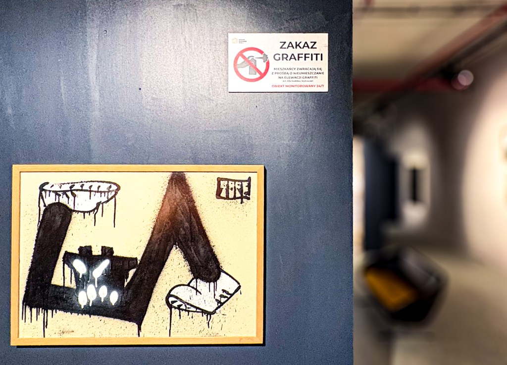 Canva by street artist TOPE in gallery Ogrodowa8 